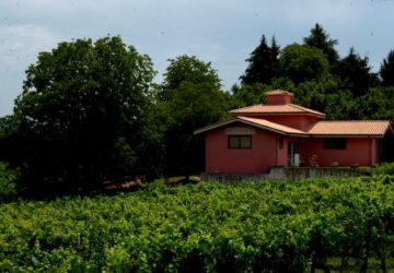 Azienda Agricola Migrante - Cesanese di Olevano Romano