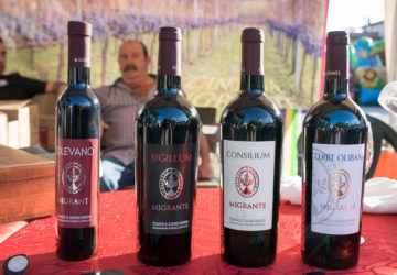 I nostri vini - Azienda Agricola Migrante - Cesanese di Olevano Romano